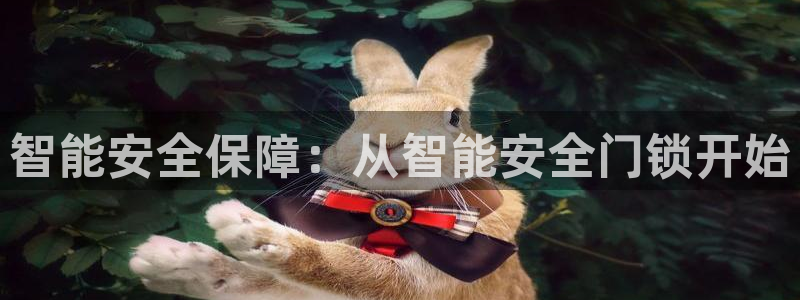 开丰娱乐登录平台下载：智能安全保障：从智能安全门锁开始
