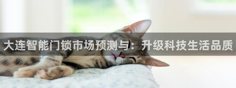 开丰娱乐平台注册时间：大连智能门锁市场预测与：升级科技生活品