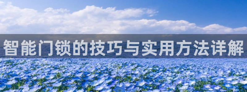 开丰娱乐乙833_43