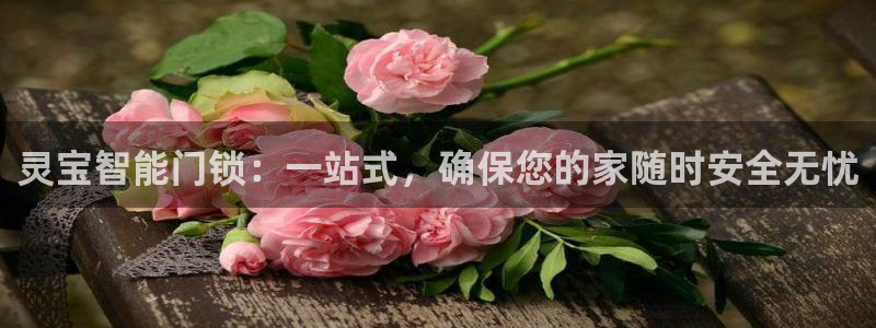开丰娱乐咋7O777：灵宝智能门锁：一站式，确保您的家随时安