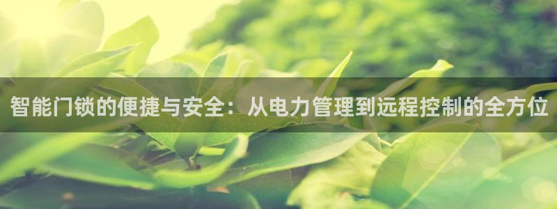 开丰娱乐前：智能门锁的便捷与安全：从电力管理到远程控制的全方