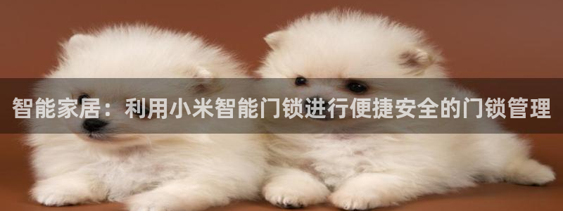 开丰娱乐科技：智能家居：利用小米智能门锁进行便捷安全的门锁管