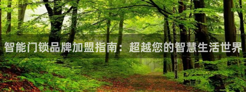 开丰娱乐姜333OO：智能门锁品牌加盟指南：超越您的智慧生活