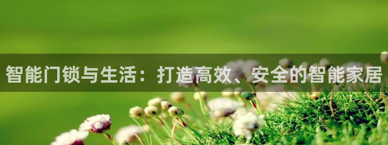 开丰娱乐优七九九47：智能门锁与生活：打造高效、安全的智能家