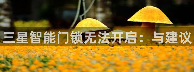 开丰娱乐地址：三星智能门锁无法开启：与建议