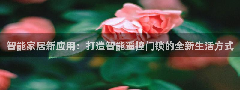 开丰娱乐左7O667：智能家居新应用：打造智能遥控门锁的全新