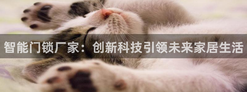 开丰娱乐网站官网下载：智能门锁厂家：创新科技引领未来家居生活
