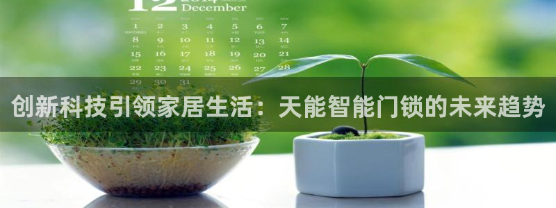 开丰娱乐注册：创新科技引领家居生活：天能智能门锁的未来趋势