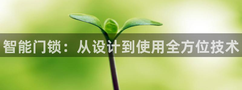 开丰娱乐新登录平台：智能门锁：从设计到使用全方位技术