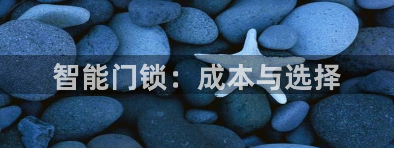 开丰娱乐主管：智能门锁：成本与选择
