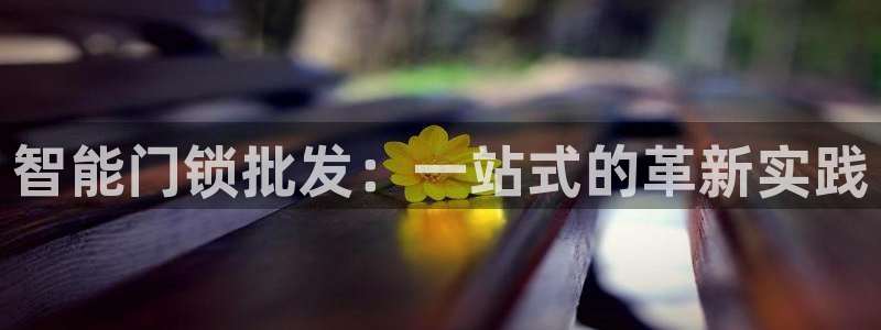 开丰娱乐官网电话：智能门锁批发：一站式的革新实践