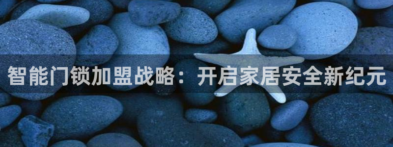开丰娱乐平台地址电话：智能门锁加盟战略：开启家居安全新纪元