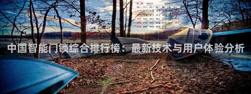 开丰娱乐平台官网登录：中国智能门锁综合排行榜：最新技术与用户