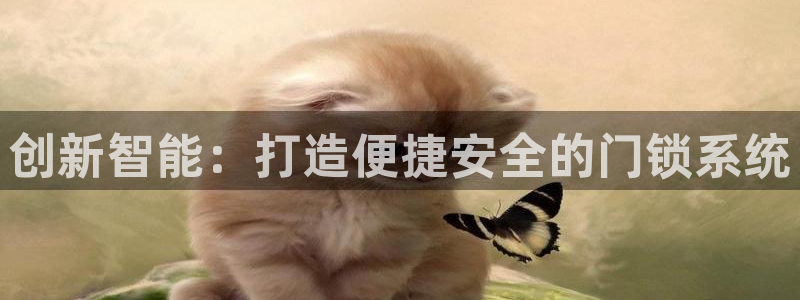 开丰娱乐注册登录：创新智能：打造便捷安全的门锁系统
