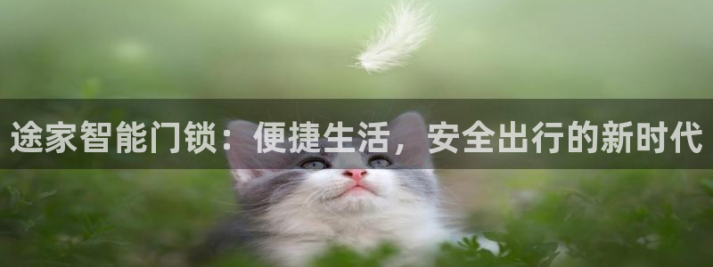 开丰娱乐网址：途家智能门锁：便捷生活，安全出行的新时代