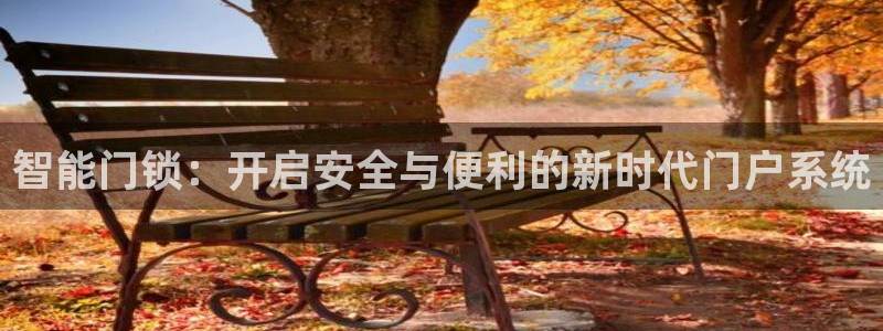 如何注册开丰娱乐账号：智能门锁：开启安全与便利的新时代门户系