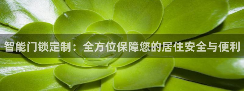 开丰娱乐开户：智能门锁定制：全方位保障您的居住安全与便利