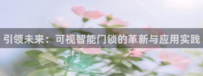 开丰娱乐科技：引领未来：可视智能门锁的革新与应用实践