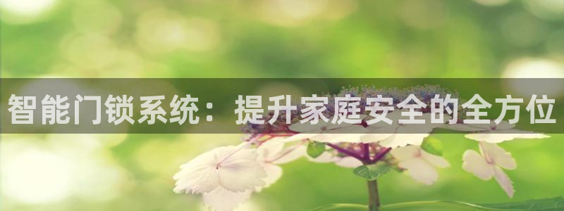 开丰娱乐官网平台网址：智能门锁系统：提升家庭安全的全方位