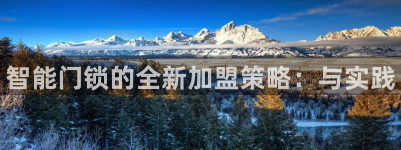 开丰娱乐前：智能门锁的全新加盟策略：与实践