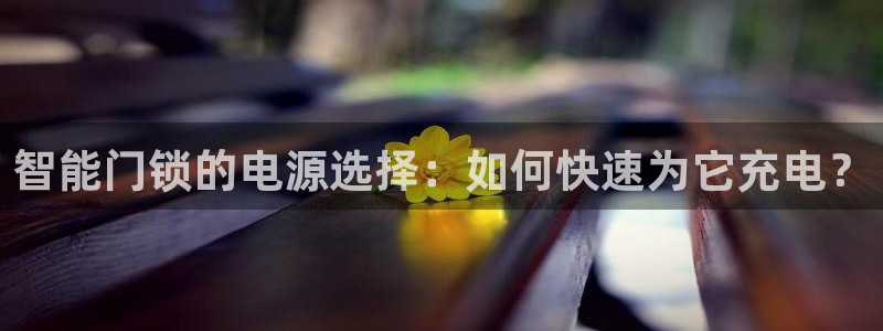 开丰娱乐予 7O935：智能门锁的电源选择：如何快速为它充电