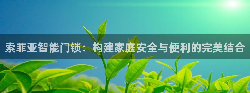 开丰娱乐官网平台网址：索菲亚智能门锁：构建家庭安全与便利的完