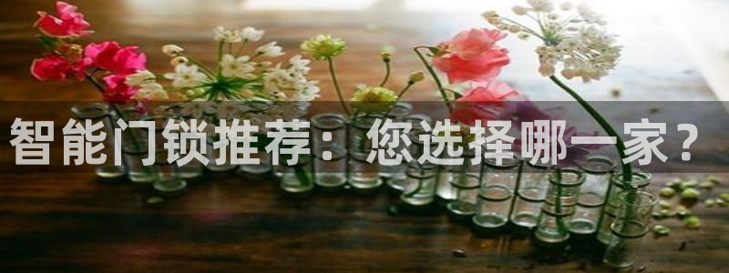 开丰娱乐官网最新消息：智能门锁推荐：您选择哪一家？
