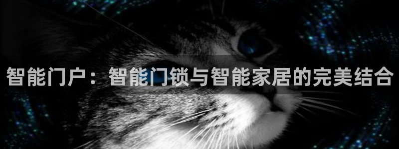 开丰娱乐官网：智能门户：智能门锁与智能家居的完美结合