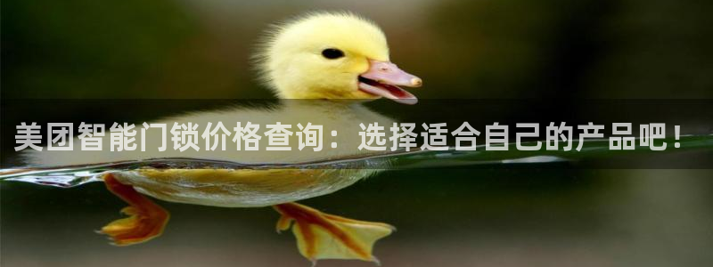 开丰娱乐科技：美团智能门锁价格查询：选择适合自己的产品吧！