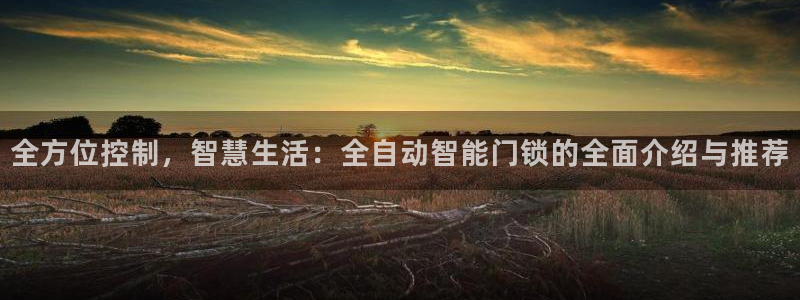 开丰娱乐登录：全方位控制，智慧生活：全自动智能门锁的全面介绍