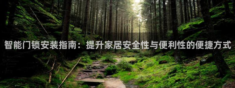 开丰娱乐平台登录：智能门锁安装指南：提升家居安全性与便利性的