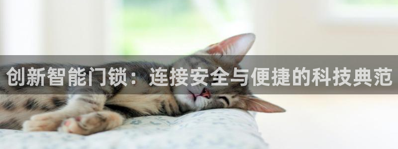 开丰娱乐手机app：创新智能门锁：连接安全与便捷的科技典范