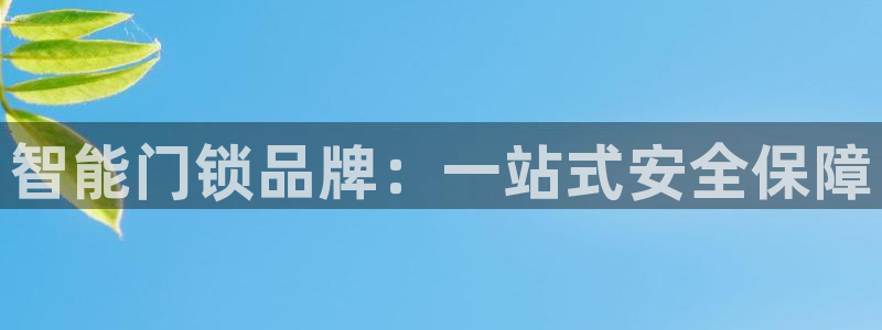 开丰娱乐平台地址在哪里：智能门锁品牌：一站式安全保障