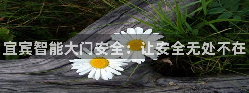 开丰娱乐万六七五一38：宜宾智能大门安全：让安全无处不在