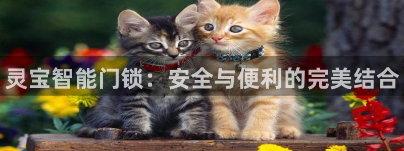 开丰娱乐登录平台下载：灵宝智能门锁：安全与便利的完美结合