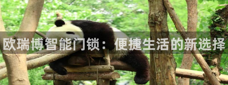开丰娱乐万六七五一38：欧瑞博智能门锁：便捷生活的新选择