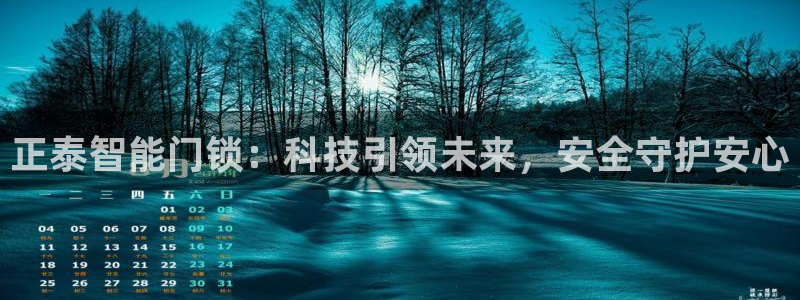 开丰娱乐优七九九47：正泰智能门锁：科技引领未来，安全守护安