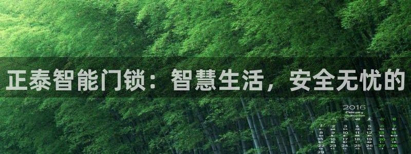 开丰娱乐：正泰智能门锁：智慧生活，安全无忧的