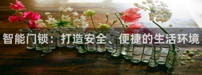 开丰娱乐与六七五一38：智能门锁：打造安全、便捷的生活环境