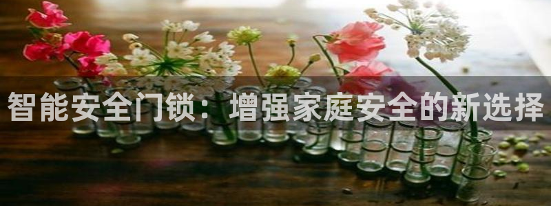 开丰娱乐寸67五壹叁八：智能安全门锁：增强家庭安全的新选择