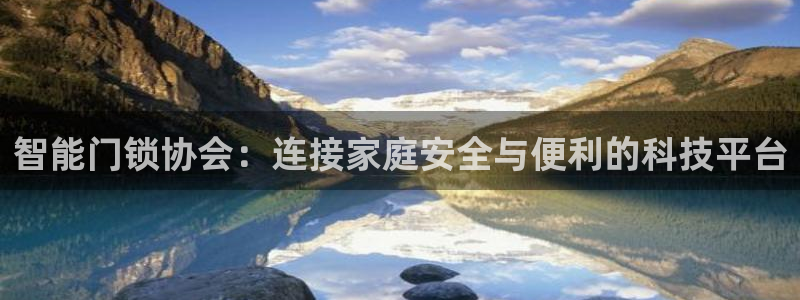 开丰娱乐上：智能门锁协会：连接家庭安全与便利的科技平台